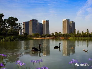 特色城市風(fēng)貌如何塑造 臺(tái)州山海水城 美麗計(jì)劃 告訴你