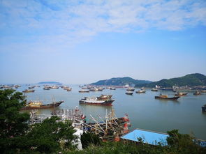 戒糖 減脂 在臺(tái)州,不存在的